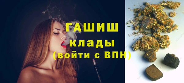 сатива Ельня