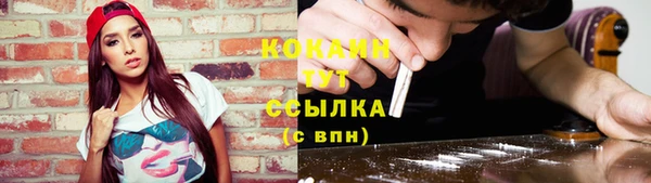 крисы Елабуга