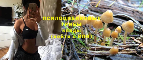 сатива Кулебаки