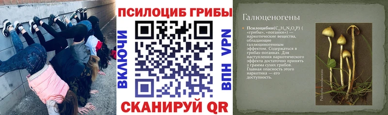 Галлюциногенные грибы мицелий  Волчанск 